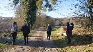 Quatre personnes habillées chaudement marchent de dos sur un chemin campagnard. La personne à droite regarde le sommet d'un chêne avec des jumelles.