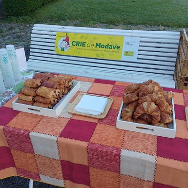 Photo rapprochée de deux plateaux remplis de pains au chocolat et de croissants.