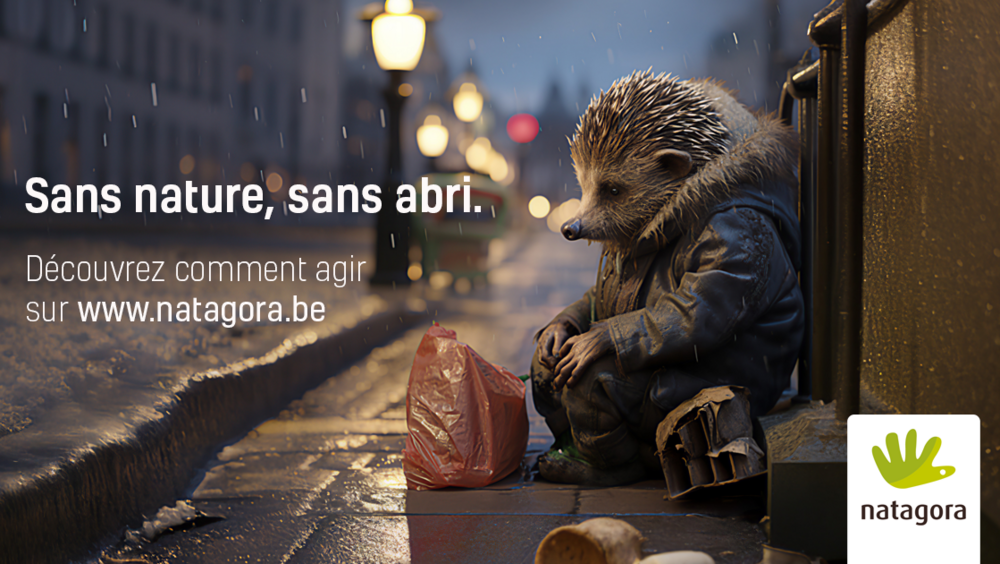 Image fictive d'un hérisson en manteau assis dans la rue sous la pluie avec des sacs autour de lui à l'image d'une personne sans abri.