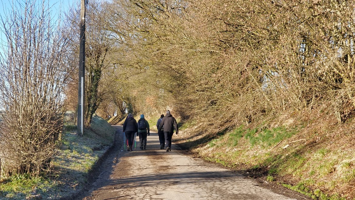Quatre personnes de dos, habillées en chaudes tenues de marche ou de randonnée, marchant sur un chemin de campagne entouré d'arbustes de part et d'autre. Le tout est baigné de soleil mais les arbustes sont dénudés car c'est la fin de l'hiver.